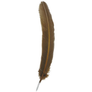 Plume d'oie bronze