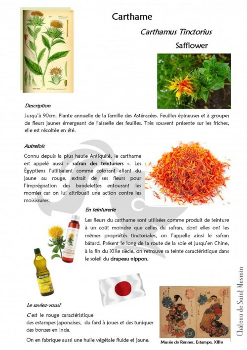 Graines de carthame des teinturiers