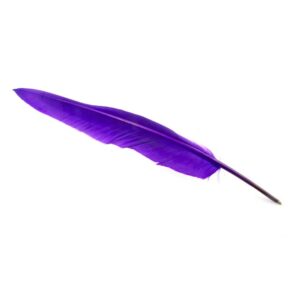 Stylo à bille plume violette