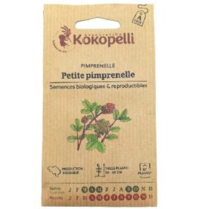 Graine Petite Primprenelle