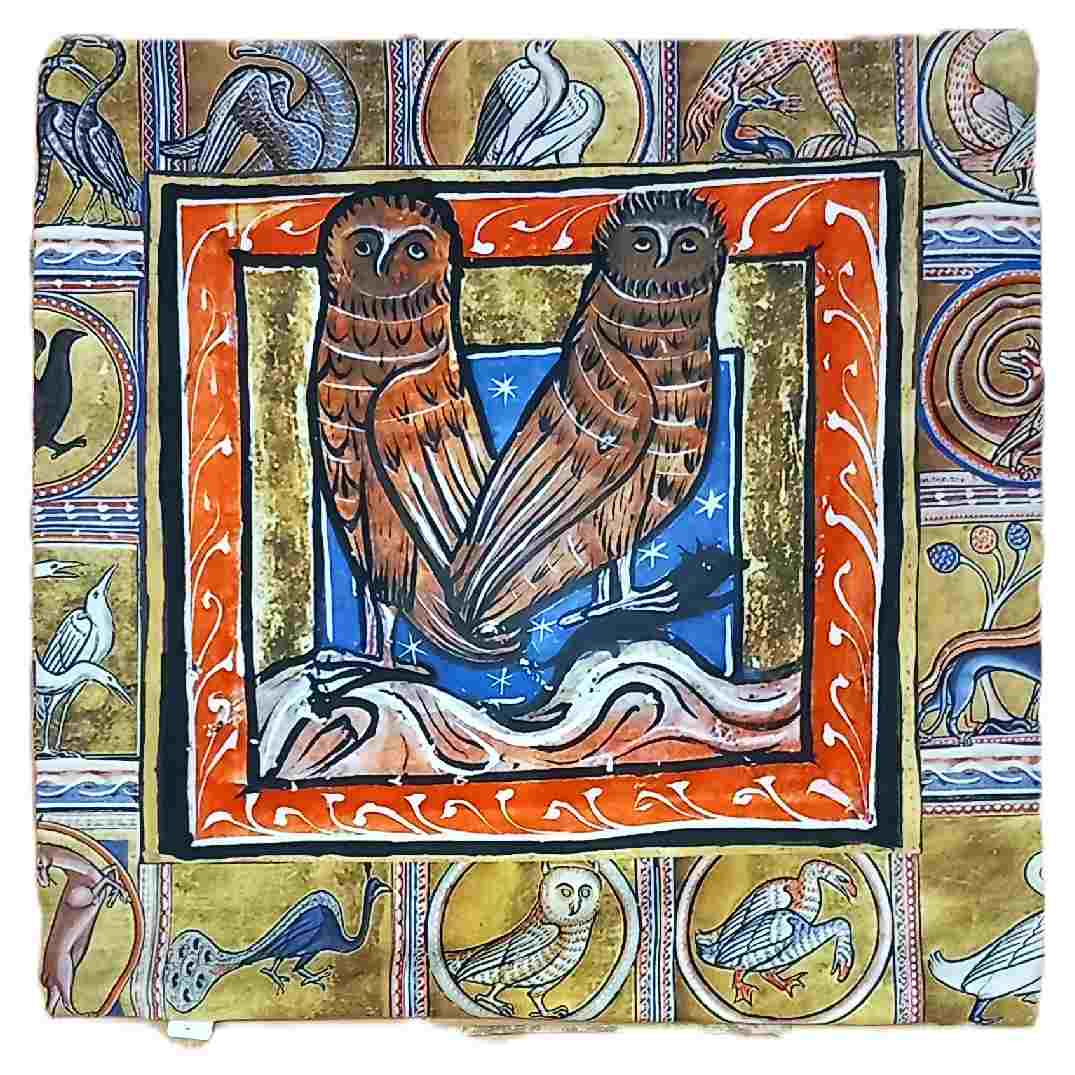 Housse de coussin médiéval aux deux chouettes